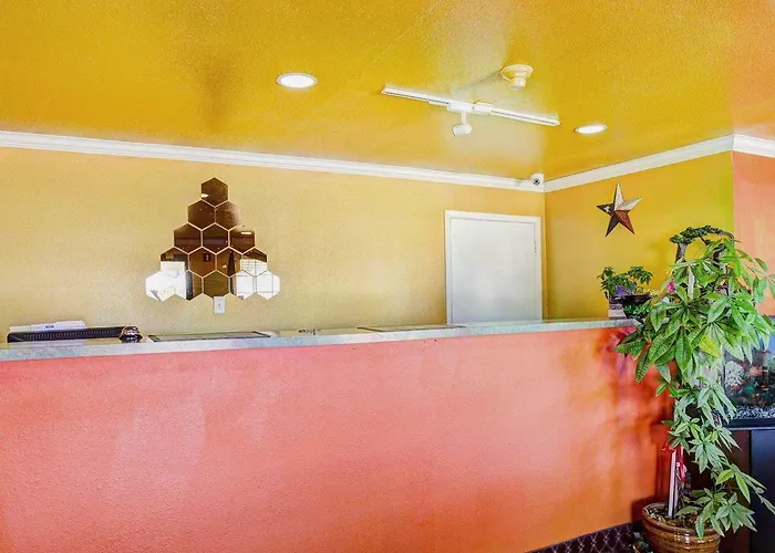 Motel Nites